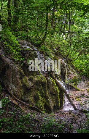 Nahaufnahme auf einem grünen moosigen Hügel mit Wasserfällen und Wasserfällen im üppigen Feuchtgebiet des Nationalparks Plitvicer Seen, UNESCO-Weltkulturerbe in Kroatien Stockfoto
