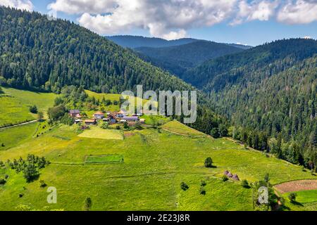 Schöne Zlatar Berg, beliebtes Touristenziel. Grüne Pinienwälder, Hügel und Wiese. Serbien Stockfoto