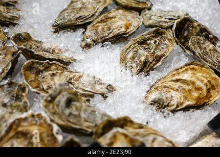 Austern liegen auf dem Ladentisch auf Eis. Austern zum Verkauf auf dem Fischmarkt. Frische Austern selektiver Fokus. Nahaufnahme. Stockfoto