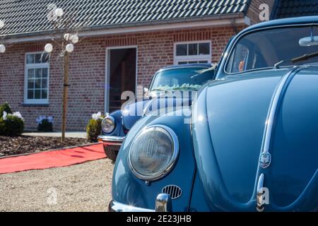 Antwerpen, Belgien, März 2009: Zwei blaue deutsche Oldtimer. Volkswagen Beetle an einem Hochzeitstag vor einem Haus. Hochwertige Fotos Stockfoto