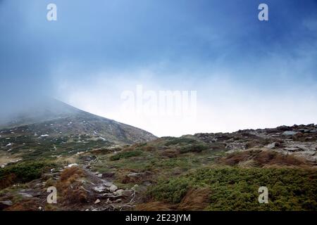 Nebel auf dem Berg Hoverla. Panorama. Stockfoto