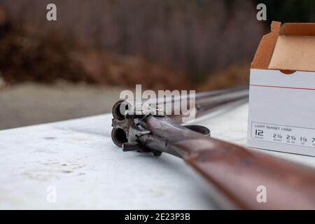 Eine alte, Vintage, Break-Action Doppel-Lauf-Schrotflinte mit zwei Auslösern und zwei Hämmern. Platziert auf einem Tisch an einem Outdoor-Bereich mit einer Schachtel mit Munition Stockfoto