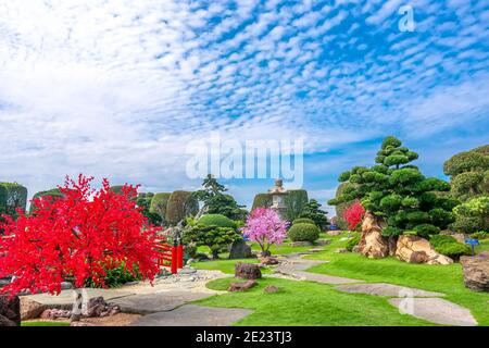 Ökologischer Garten im feng Shui mit Aquarium Koi, Zypresse, Kiefer, Wasser und alten Bäumen mit traditioneller japanischer Kultur. Stockfoto