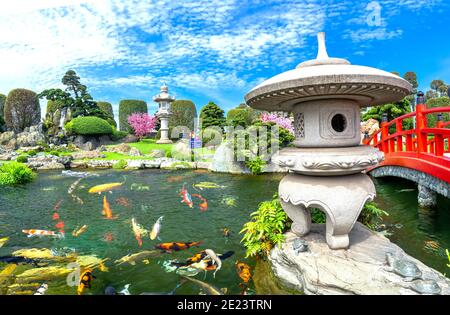 Ökologischer Garten im feng Shui mit Aquarium Koi, Zypresse, Kiefer, Wasser und alten Bäumen mit traditioneller japanischer Kultur. Stockfoto
