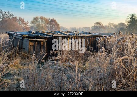 Hölzerne Bienenstockkisten in der Mitte des Feldes in Ein nebliger Morgen Stockfoto