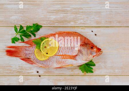 Ganze frische Tilapia mit Gewürzen und Zitrone. Draufsicht. Speicherplatz kopieren. Stockfoto