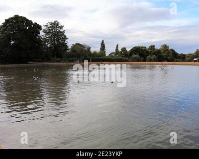 Der See in Forty Hall in Enfield, London. Stockfoto