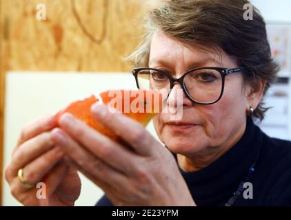 11. Januar 2021, Baden-Württemberg, Neuenbürg: Fischtierärztin Sandra Lechleiter führt in ihrer Praxis eine klinische Untersuchung an einem betäubten Goldfisch nach visuellen Kriterien durch. Lechleiter ist einer der wenigen Fischtierärzte in Deutschland. So muss sie oft stundenlang im Auto sitzen und dann mit Parasiten, Bakterien und Darmproblemen ihrer schuppigen Patienten umgehen. Foto: Uli Deck/dpa Stockfoto