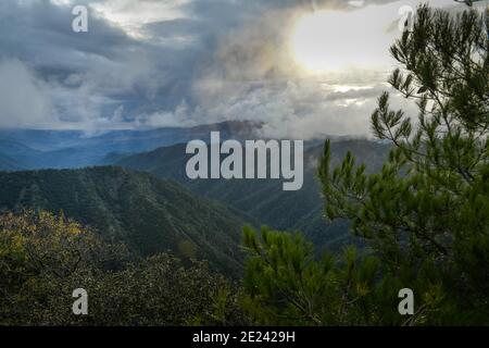 Paphos-Forst, Troodos-Gebirge, Zypern Stockfoto