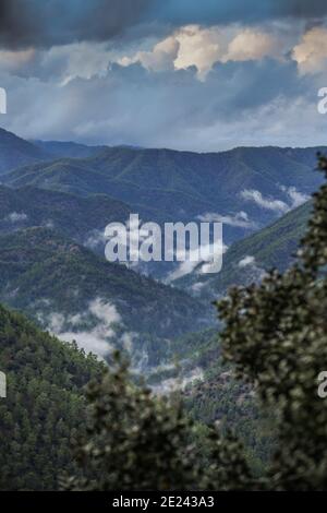 Paphos-Forst, Troodos-Gebirge, Zypern Stockfoto