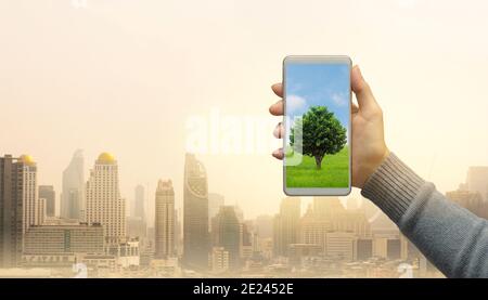 Frau Hand hält moderne grüne Baum-Bildschirm Smartphone auf Stadt Hintergrund. Umwelt- und Naturschutzkonzept. Stockfoto