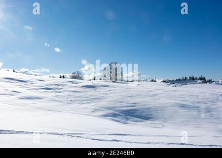 Die Sonne nach dem Schneefall. Stockfoto