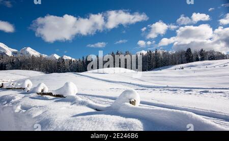 Einen schönen Tag in den Bergen Stockfoto