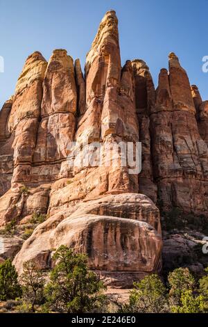 Felsnadeln im Needles District in der Nähe des Chesler Park Trail, Canyonlands National Park, Utah, USA. Stockfoto