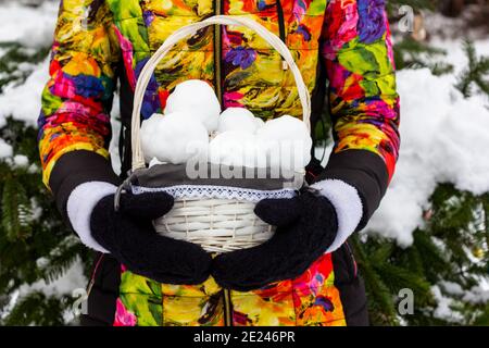 Ein Mädchen hält einen Korb mit Schneebällen in ihrem Schwarz Gestrickte Fäustlinge Stockfoto