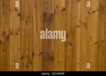 Hintergrund oder Textur von feuchtem Holz Feder Kante Zaun Boards in Rural Devon, England, UK Stockfoto