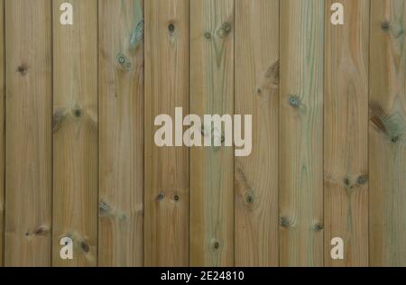 Hintergrund oder Textur von Tanalisiertem Redwood Shiplap Holz Verkleidung der Außenseite eines Gebäudes in Rural Devon, England, Großbritannien Stockfoto