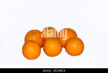 Citrus ist eine Gattung von blühenden Bäumen und Sträuchern in der Familie der Rue, Rutaceae. Pflanzen der Gattung produzieren Zitrusfrüchte, Stockfoto