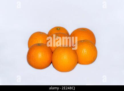 Citrus ist eine Gattung von blühenden Bäumen und Sträuchern in der Familie der Rue, Rutaceae. Pflanzen der Gattung produzieren Zitrusfrüchte, Stockfoto