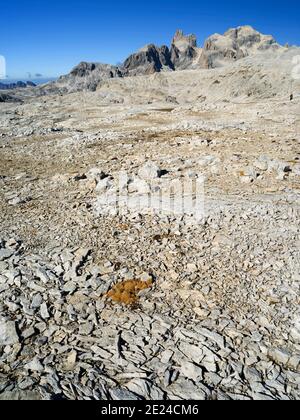 Blick Richtung Cimon della Pala, Cima della Vezzana. Das Hochplateau Altipiano delle Pale di San Martino in der Pala Gruppe in den dolomiten Stockfoto