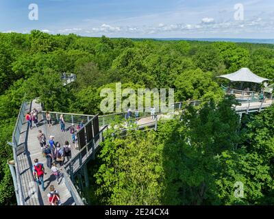Canopy Walk. Der Wald Hainich in Thüringen, Nationalpark und Teil des UNESCO-Welterbes - Buchenurwälder der Karpaten und Stockfoto