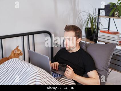 Attraktiver junger bärtiger Mann, der am Laptop arbeitet und auf einem Bett unter der Decke mit einer Ingwerkatze daneben liegt. Arbeiten zu Hause oder online Studienkonzept Stockfoto