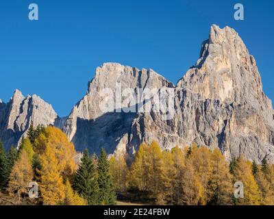 CIMON della Pala und Cima della Vezzana. Die Gipfel überragen das Val Venegia, vom Passo Rolle aus gesehen. Pala Gebirge (Pale di San Martino) in der do Stockfoto