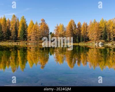 Lago San Pellegrino (Lech de San Pelegrino) im Herbst am Passo San Pellegrino in den Dolomiten. Europa, Mitteleuropa, Italien Stockfoto