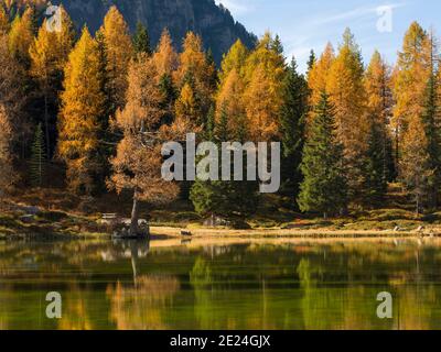 Lago San Pellegrino (Lech de San Pelegrino) im Herbst am Passo San Pellegrino in den Dolomiten. Europa, Mitteleuropa, Italien Stockfoto