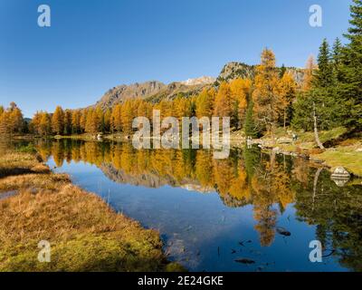 Lago San Pellegrino (Lech de San Pelegrino) im Herbst am Passo San Pellegrino in den Dolomiten. Europa, Mitteleuropa, Italien Stockfoto