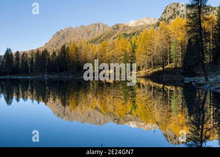 Lago San Pellegrino (Lech de San Pelegrino) im Herbst am Passo San Pellegrino in den Dolomiten. Europa, Mitteleuropa, Italien Stockfoto