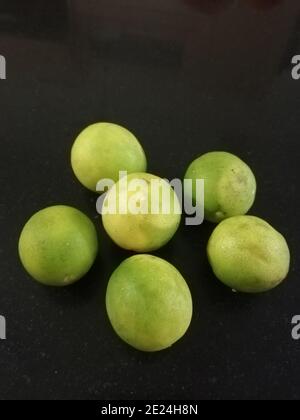 Citrus ist eine Gattung von blühenden Bäumen und Sträuchern in der Familie der Rue, Rutaceae. Pflanzen der Gattung produzieren Zitrusfrüchte, Stockfoto