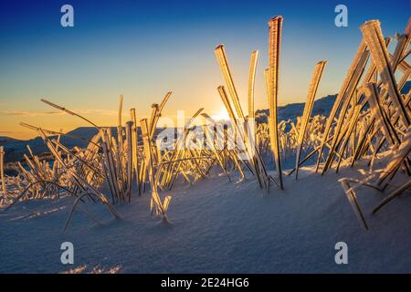 Gefrorene Gräser im Schnee von der frühen Morgensonne beleuchtet , Peak District National Park Stockfoto