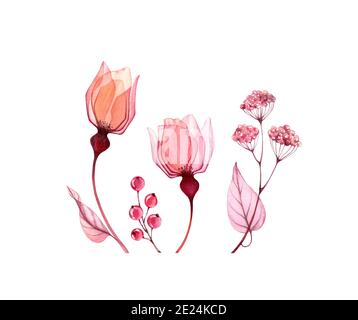 Aquarell-Set mit Blumenmuster. Sammlung von kleinen transparenten Rosen, Blätter in rosa Farbe. Handbemaltes isoliertes Design. Botanische Abbildung für Stockfoto