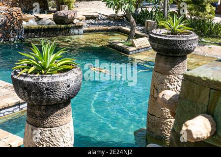 Schwimmdame in einem Resort Pool in Bali... Stockfoto