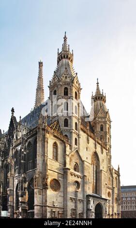 Die Kathedrale von St. Stephan in Wien. Österreich Stockfoto