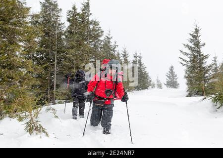 Wanderer mit Rucksäcken wandern im Tiefschnee während des Schneesturms hinein Die Berge Stockfoto