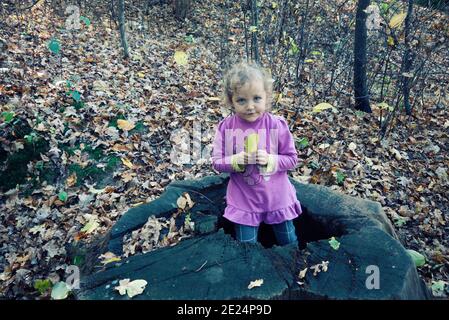Mädchen sitzt in der Mitte eines Baumstumpf hält ein Herbstblatt, Polen Stockfoto