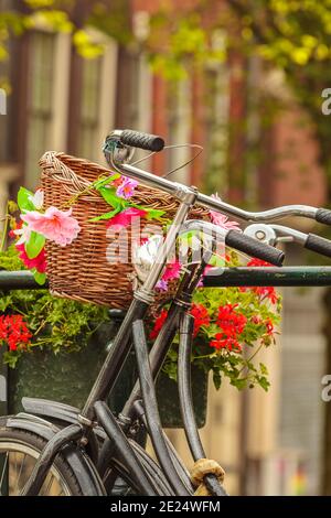 Sommer Blick auf Fahrräder mit Blumen auf einer Kanalbrücke In der niederländischen Stadt Amsterdam Stockfoto