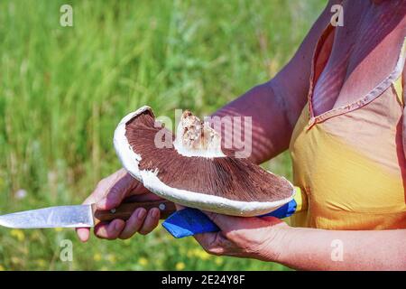 Frau mit Champignon-Pilz und Messer in den Händen Stockfoto