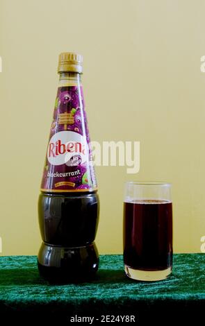 Flasche & Glas Ribena Blackcurrant Concentrated Cordial Squash Drink, UK Stockfoto