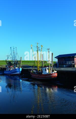 Fischerboote und Garnelenboote im alten Fischereihafen, Dorum-Neufeld, Niedersachsen, Deutschland, Europa Stockfoto