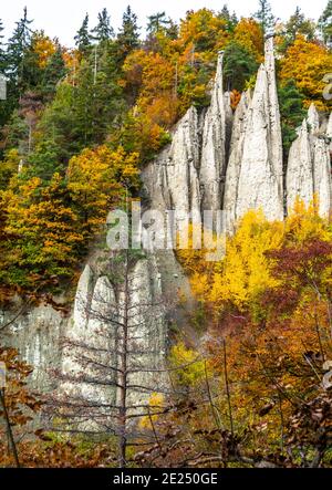 Die weißen Erdpyramiden befinden sich im Dorf Auna di sotto, in der Nähe von Bozen in Südtirol, Norditalien. Herbstliche Landschaft. Unterrinin in Südtirol Stockfoto