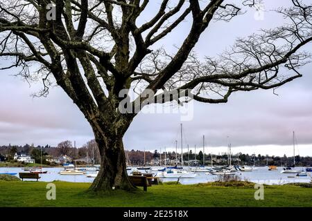 Oak Bay Marina in Victoria, BC Kanada an einem bewölkten Tag Stockfoto