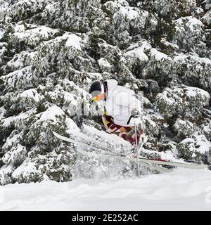 Männliche Skifahrer Skifahren auf frischem Pulverschnee mit schönen verschneiten Bäumen im Hintergrund. Mann Freerider in Skibrille macht Sprung beim Rutschen auf schneebedeckten Pisten. Konzept des Wintersports Stockfoto