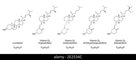 Vitamin D-Formen, chemische Strukturen und Skelettformeln. Lumisterol, Ergocalciferol, Cholecalciferol, 22-Dihydroergocalciferol und Sitocalciferol. Stockfoto