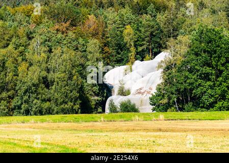 Elephant Sandstone Rocks, Sloni kameny, bei Jitrava im Lausitzer Gebirge, Tschechische Republik Stockfoto