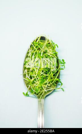 Mikrogrüne Sprossen wässrig Salat auf einem weißen Teller in einem Löffel. Selektiver Fokus.Essen Stockfoto