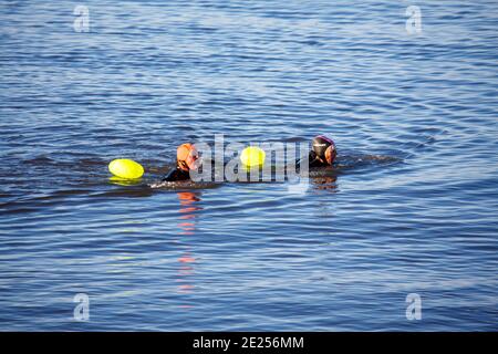 Morecambe, Lancashire, Großbritannien. Januar 2021. Paar absolvieren ein zwanzig Minuten Open Water Schwimmen in Morecambe Bay heute Morgen eine Form der sozialen Distanz Übung Kredit: PN News/Alamy Live News Stockfoto