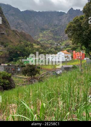 Tal Ribeira do Paul auf der Insel Santo Antao, Kap Verde im äquatorialatlantik. April Stockfoto